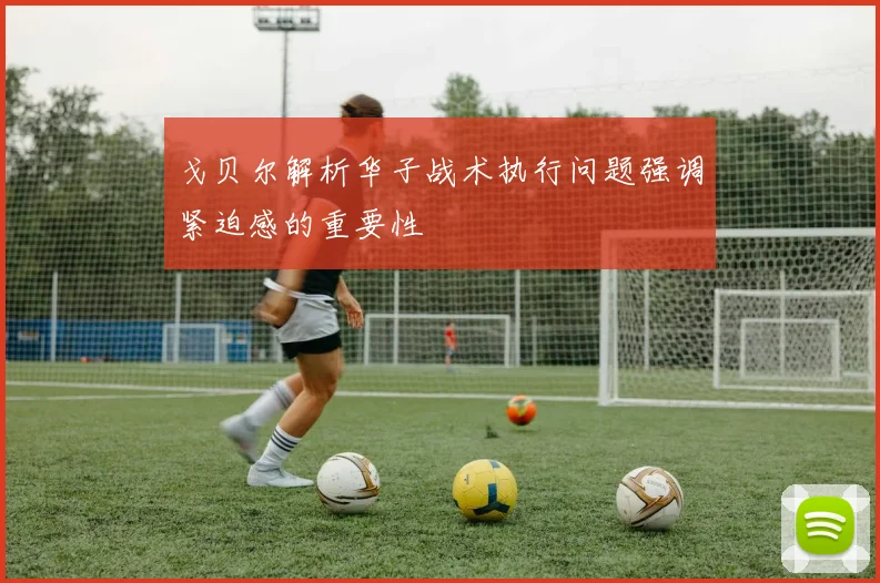 戈贝尔解析华子战术执行问题强调紧迫感的重要性