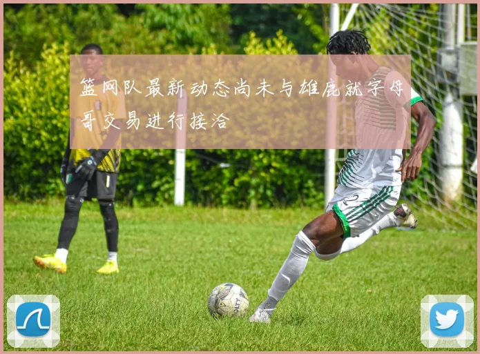 篮网队最新动态尚未与雄鹿就字母哥交易进行接洽