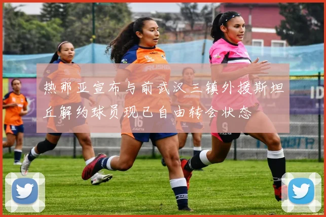 热那亚宣布与前武汉三镇外援斯坦丘解约球员现已自由转会状态