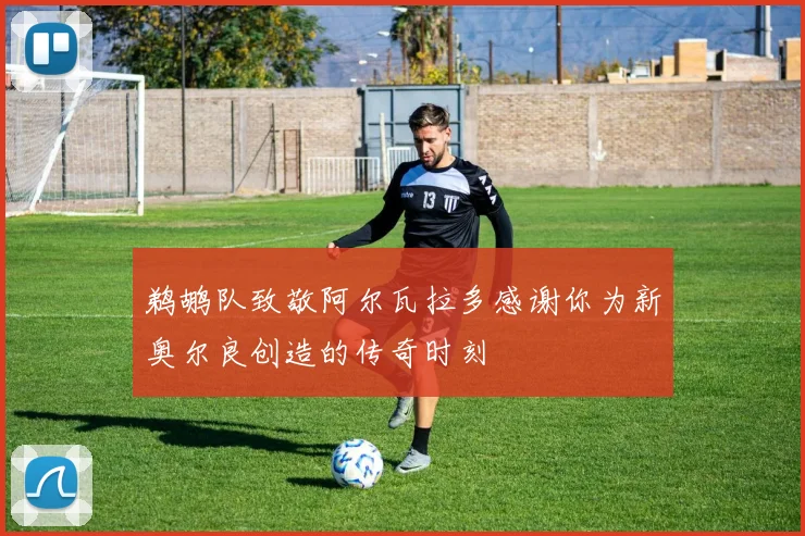 鹈鹕队致敬阿尔瓦拉多感谢你为新奥尔良创造的传奇时刻